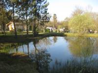 Camping Pitch