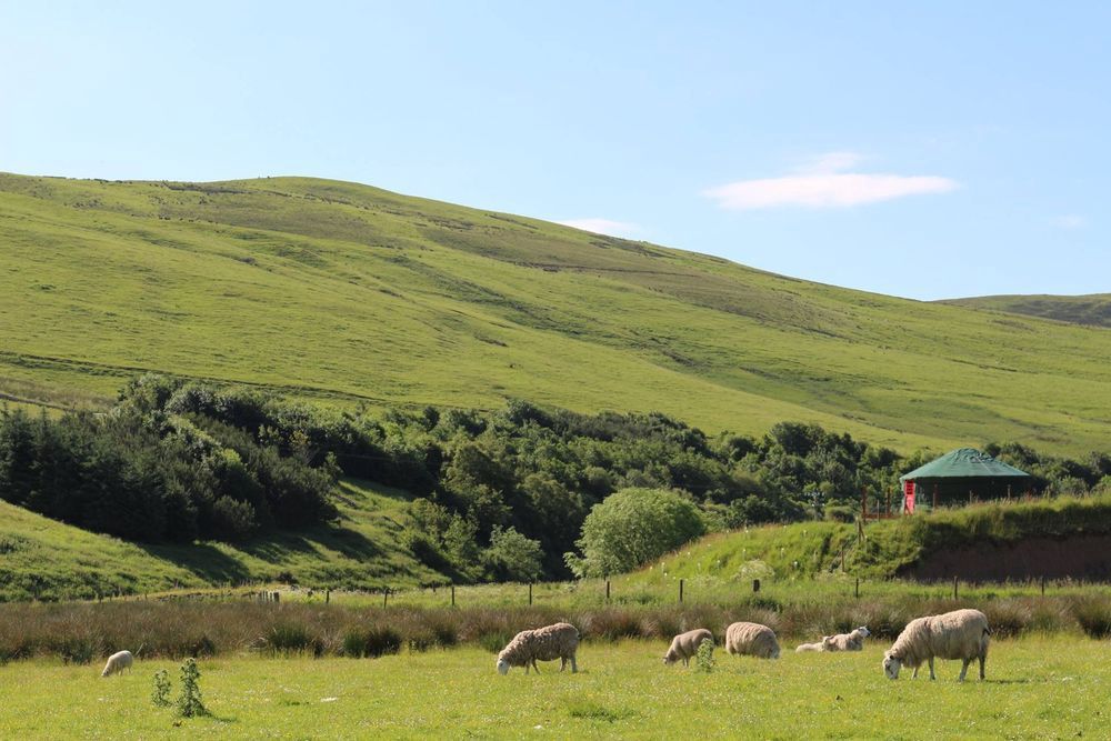 Meet Singles From Scottish Borders