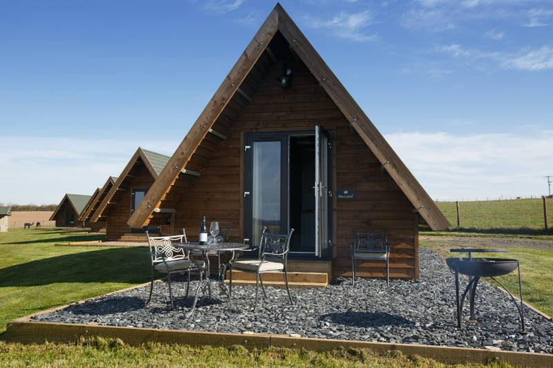 Wagtail (dog friendly)