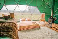 Hazel – Stylish eco-friendly deluxe geo-domes with gorgeous Welsh woodland views