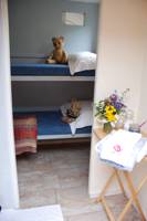 Anderida Shepherds Hut