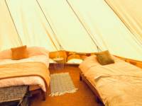 Oak - Bell Tent