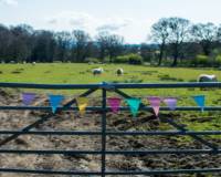 Wild Camping - Family Friendly