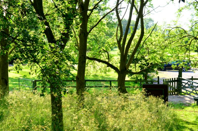 Tent Pitch with fire pit - Shadow