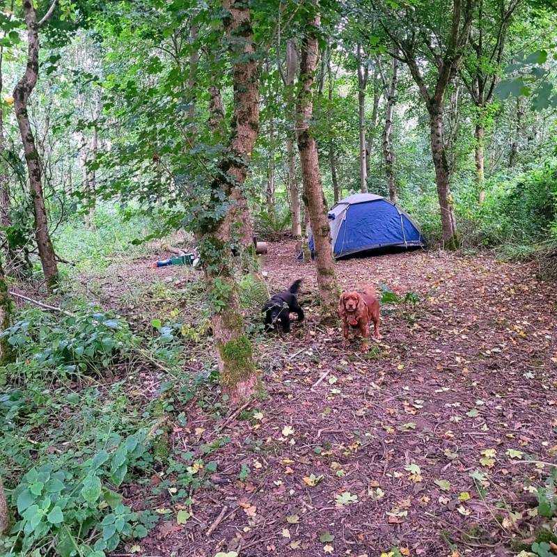 Bell Tent
