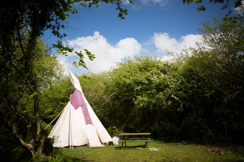 Medium Tipi 5 - Village Field