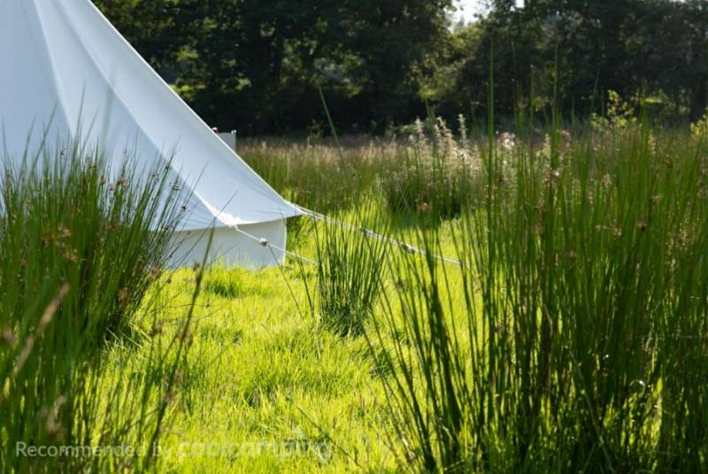 Wild camping pitch - up to 8 people