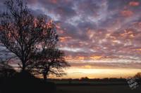 Beaumont’s Hideaway