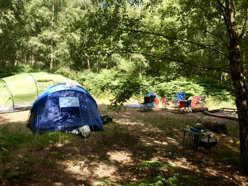Double Forest Tent Pitch