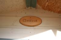 Chestnut