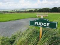 Fudge - Ensuite Campervan or Tent Pitch
