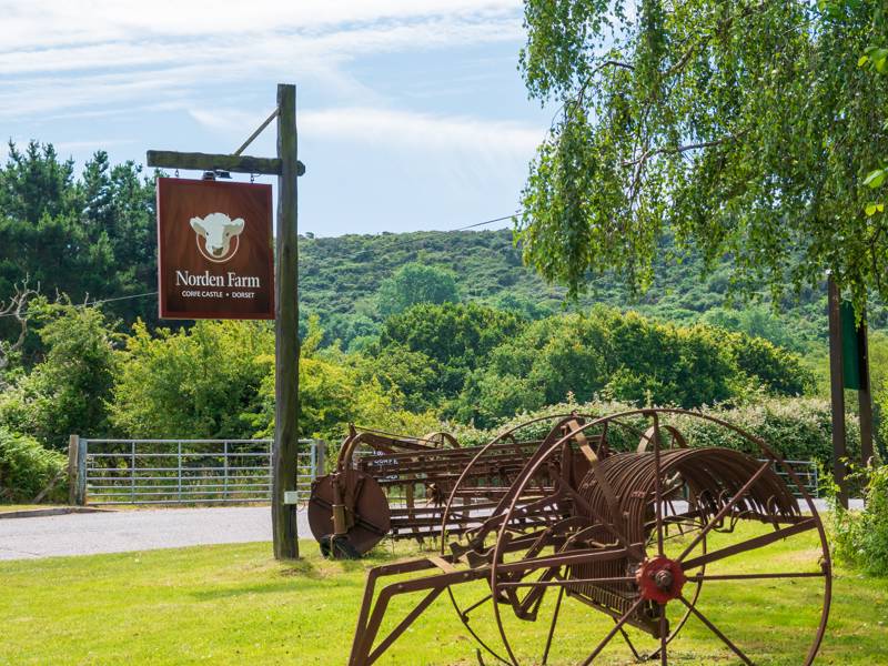 Swanage Camping Best Campsites Near Swanage Bay Dorset