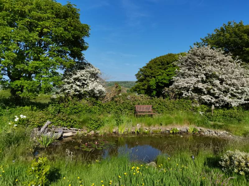 Meadow Grass Pitch 1