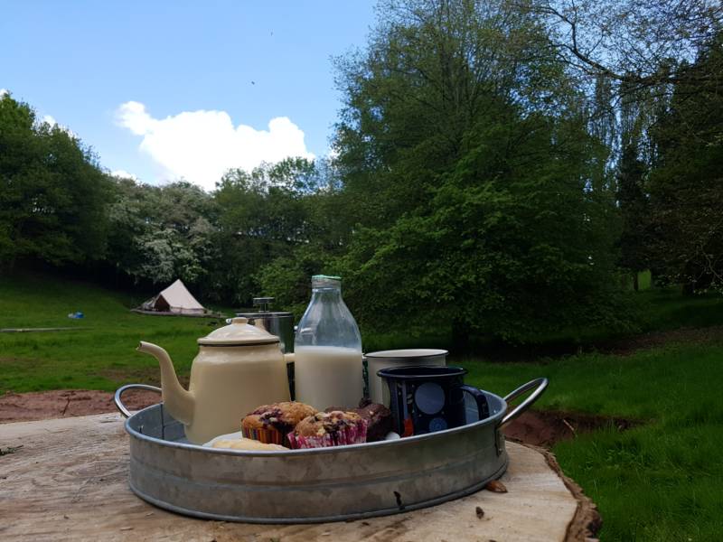 Tilia Bell Tent   (Dog Friendly)