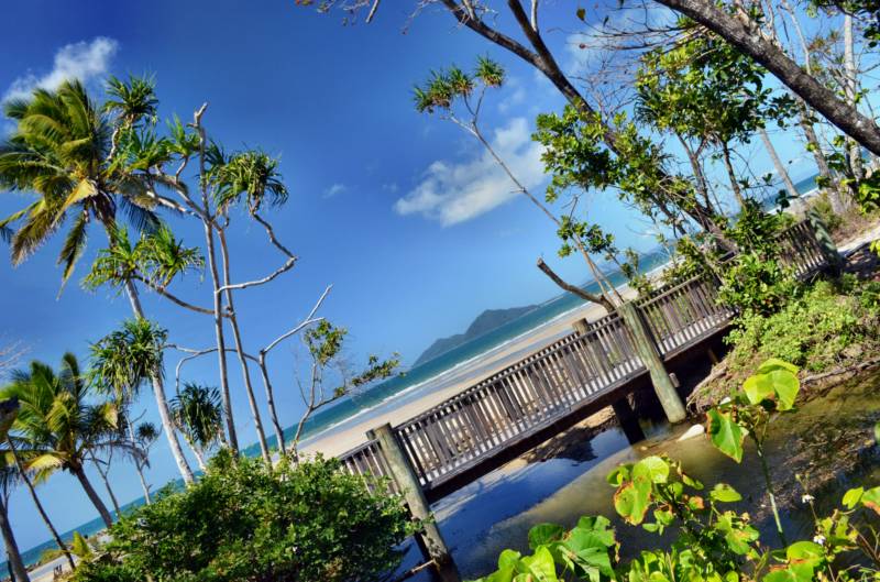 Rainforest Queen Room