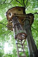 Treehouse glamping in a Normandy woodland