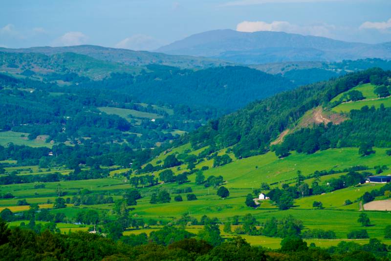 Ty Crwn Bach Idris - Yurt