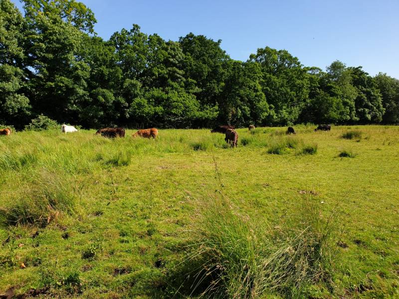 Bishee Barnabee mezzanine cabin 2 *NEW*