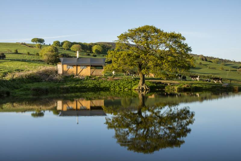 Dog-Friendly Glamping in Wales I Cool Places