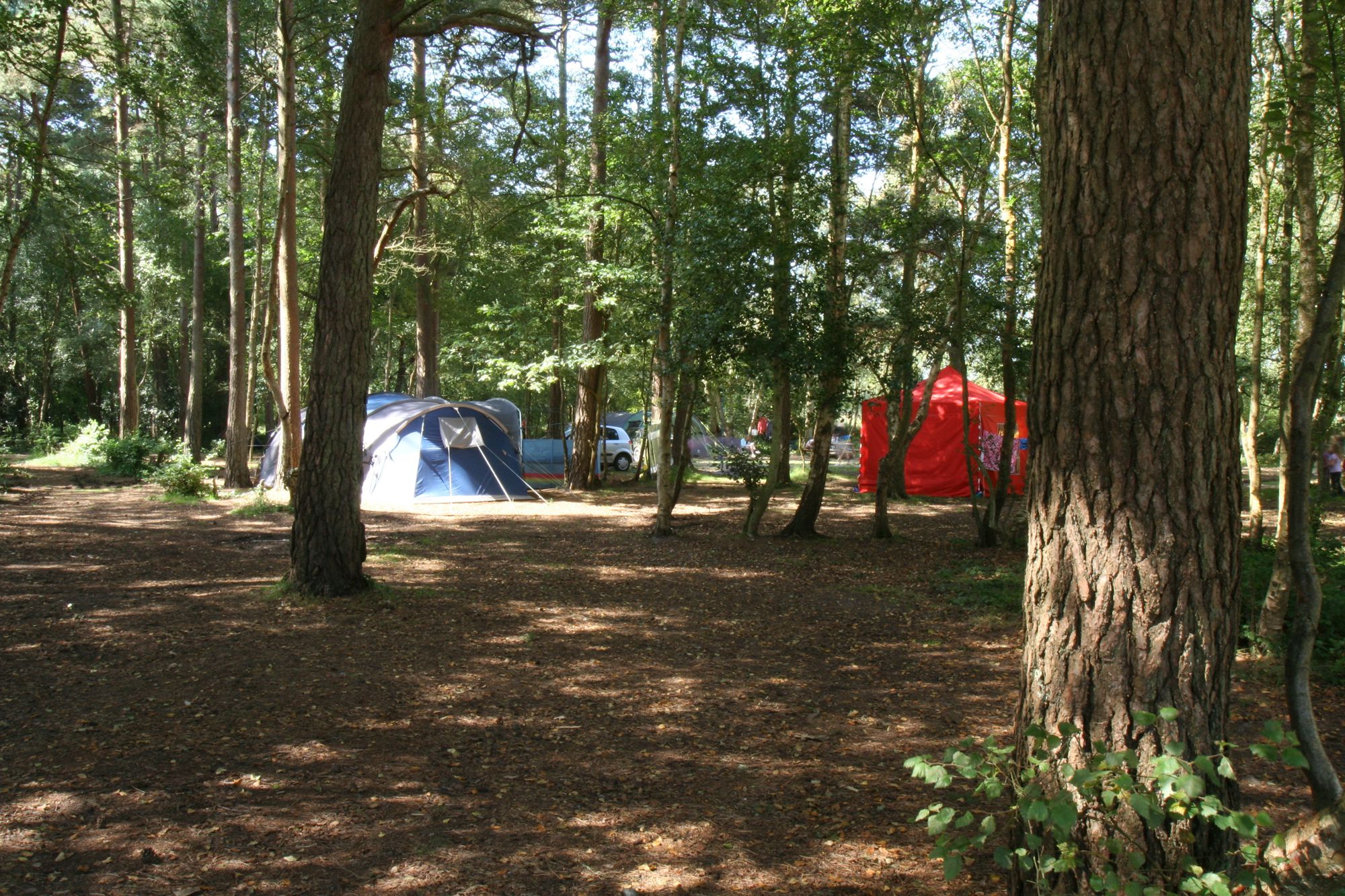 Burnbake Campsite Swanage Isle Of Purbeck