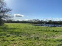Campervan Pitch