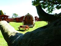 Cosy Wagon