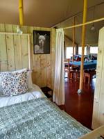 Bossington Safari Lodge
