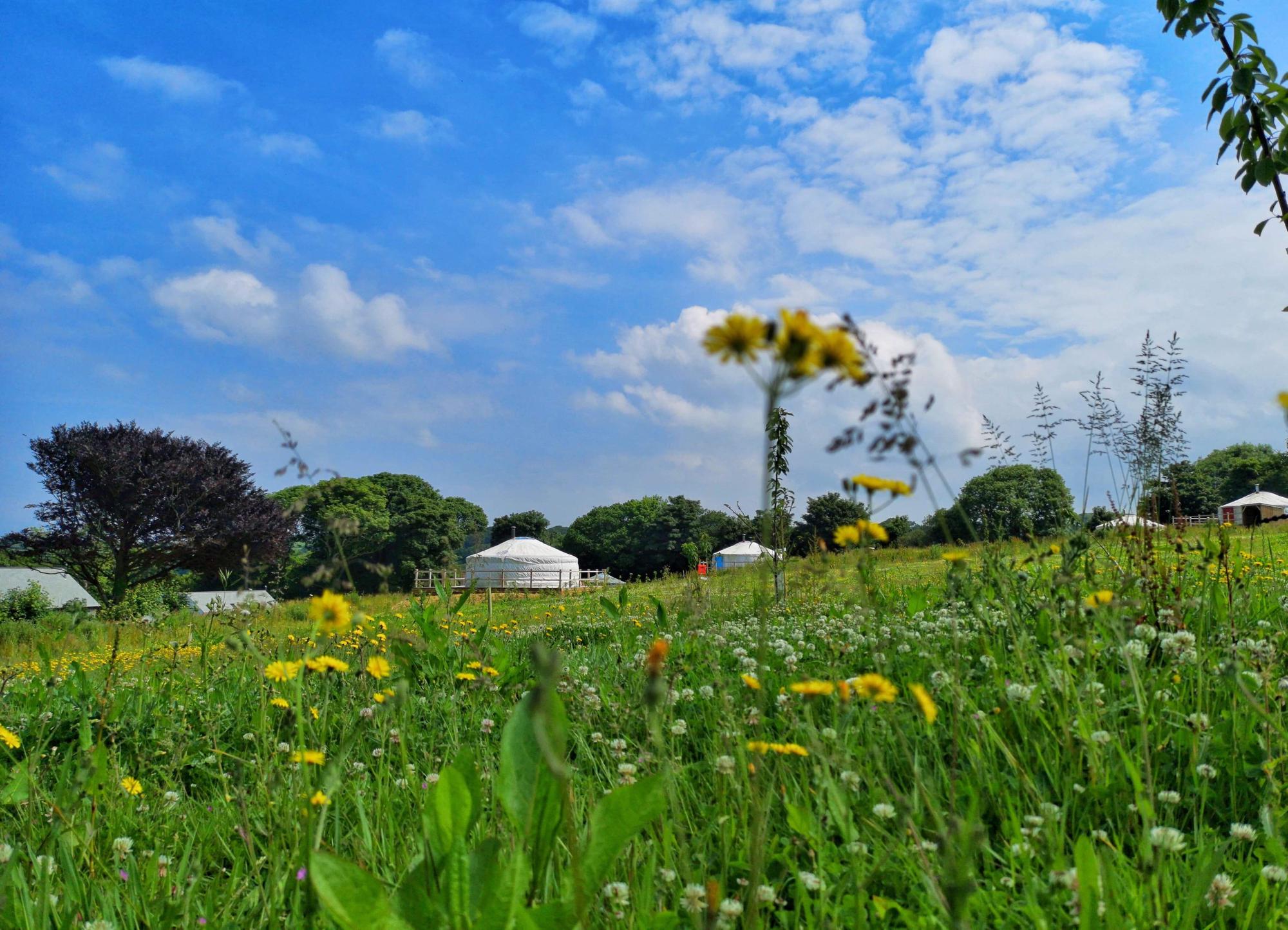 Newquay Camping Campsites near Newquay, Cornwall