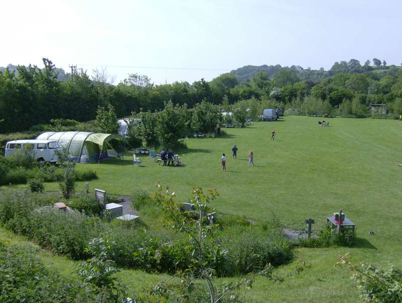 Large grass pitch - campsite 1