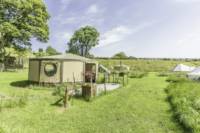 Yurt - Bertie