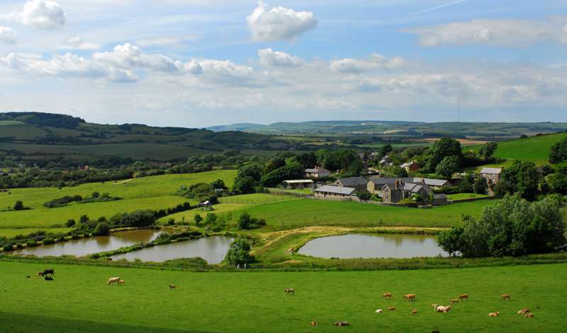 Nettlecombe Farm Whitwell Isle of Wight PO38 2AF