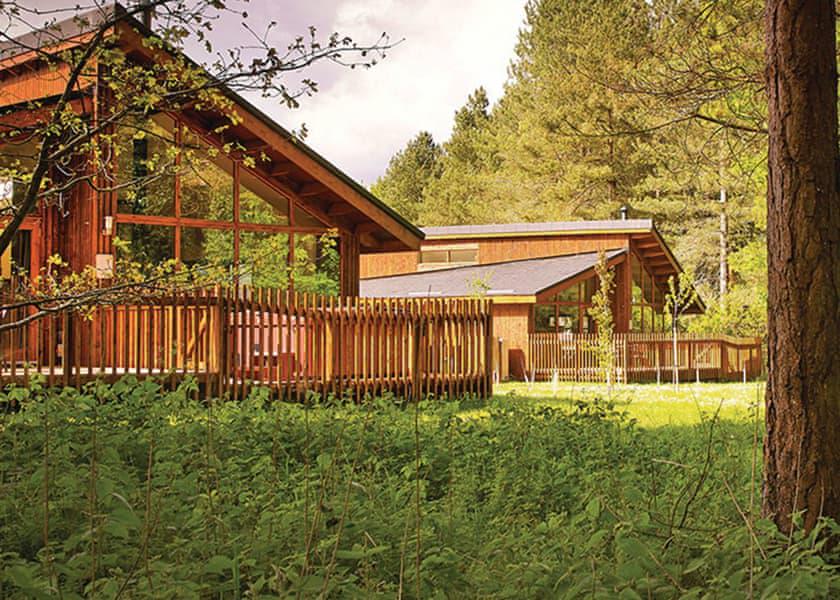 Golden Oak 2 Bedroom No Pets 101 At Beddgelert Campsite Cool Camping 18346