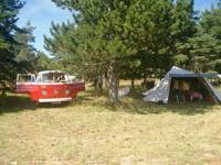Grass Pitch Grand Terrain