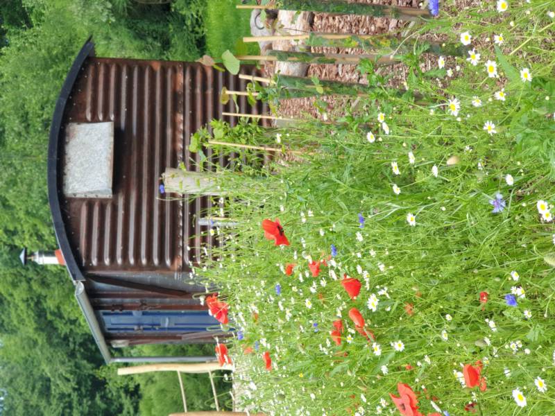 Berney - converted Railway Carriage