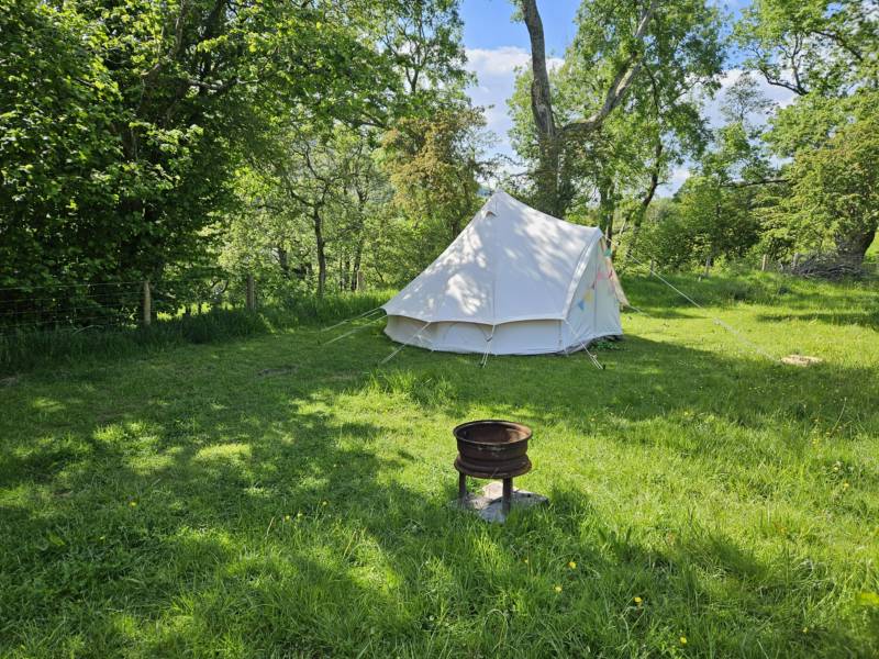 4m Bell Tent 'Cuckoo'