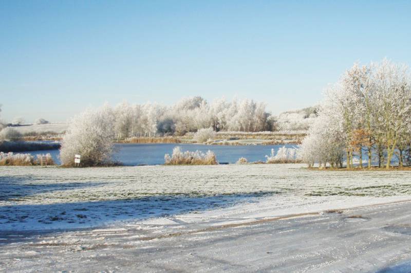 Lakeside Nuthatch Cabin