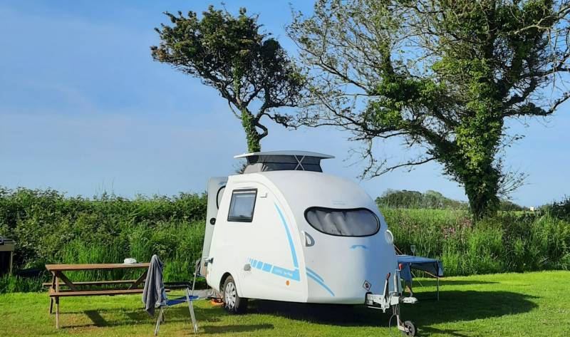 Grass Pitch 4 (optional electric hook-up)