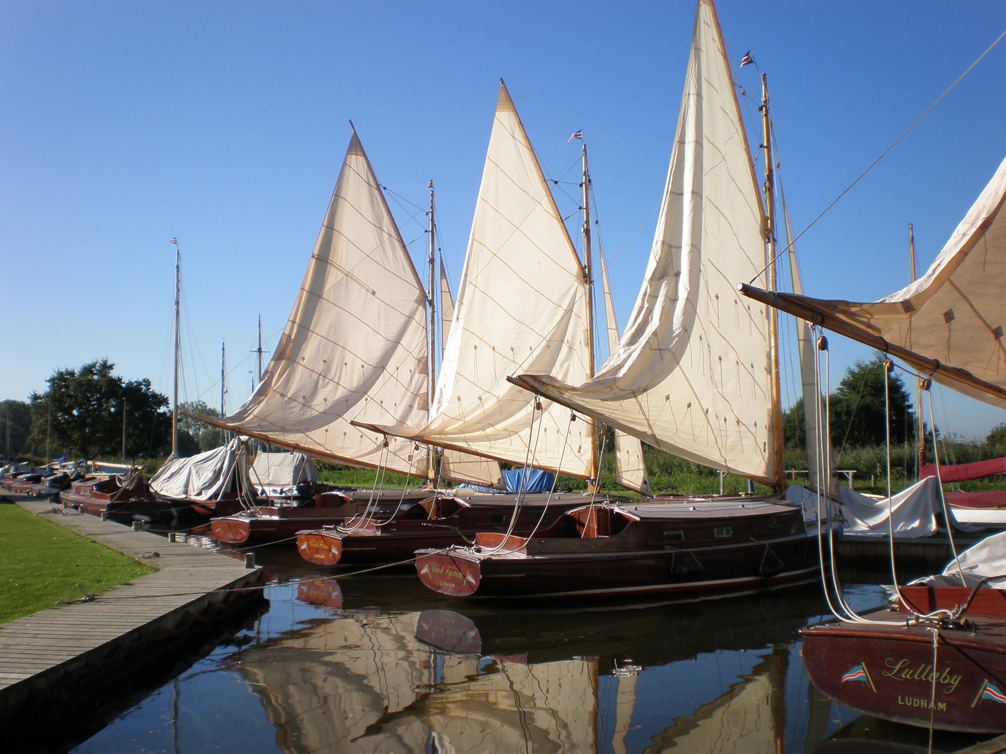 Beccles Camping | Campsites near Beccles, Suffolk