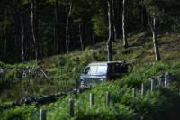 Roxy - VW T6 Highline Transporter