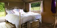 Lapwing Safari Tent