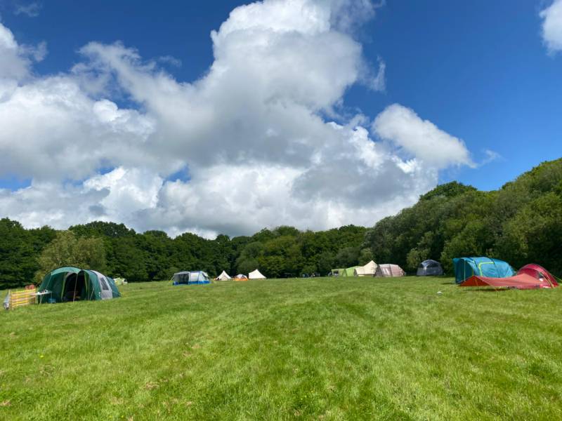 Grass Pitch Camping Field