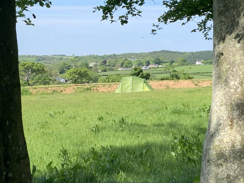 Single Tent Grass Pitch.