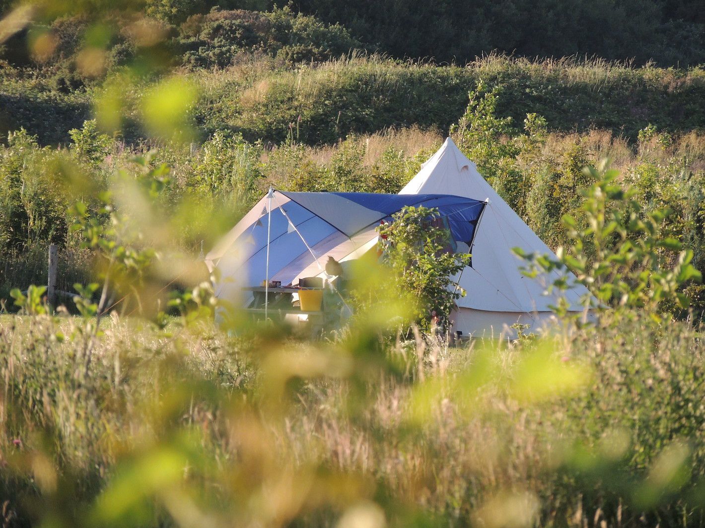 Greener Camping Club Campsites – Sustainable Camping Locations