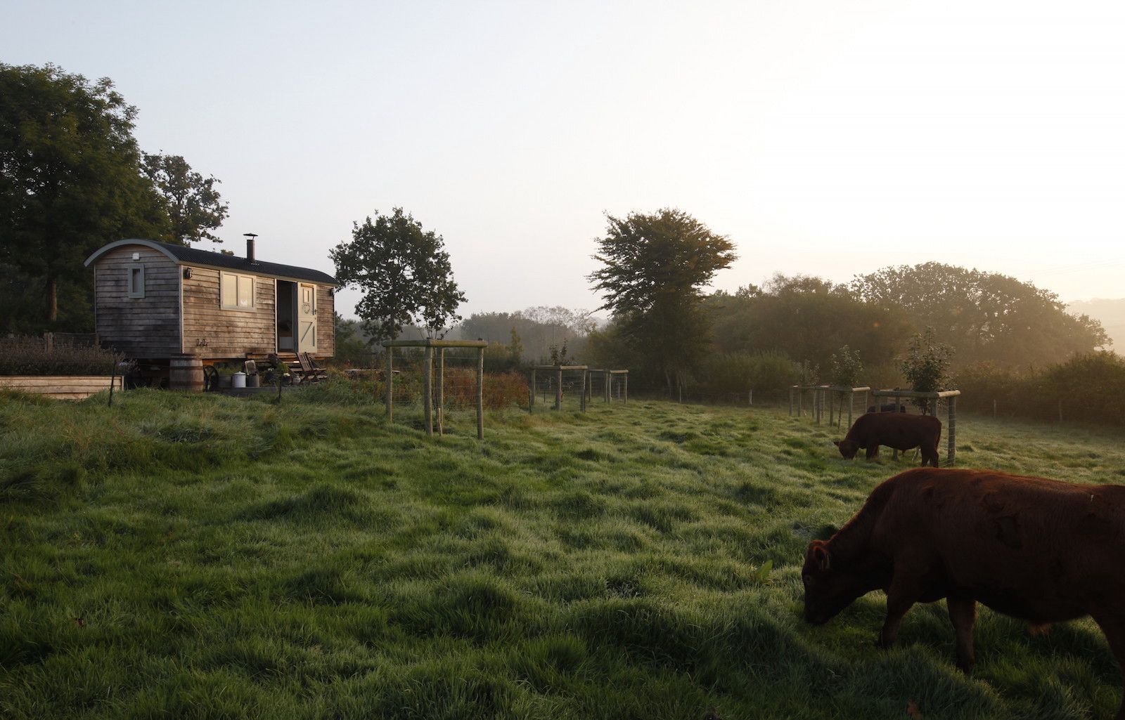 Somerset Shepherd's Huts