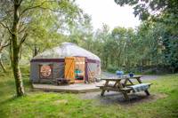 Large yurt