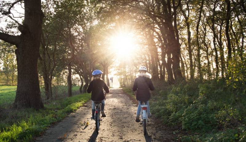 There are bikes of all shapes and sizes for hire in the New Forest, suiting all age groups.