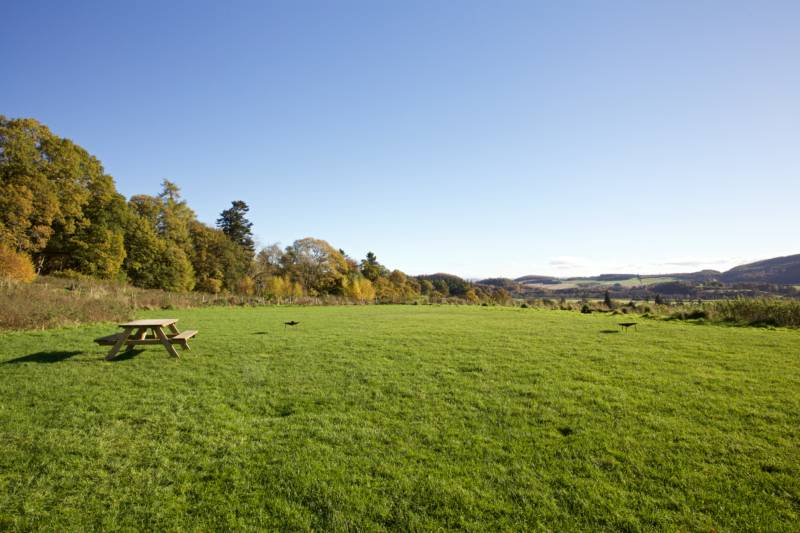 High Meadow Tent Pitch