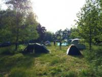 Woodland Meadow Pitch