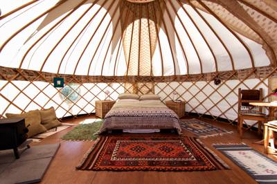 Inside Gilliflower Yurt