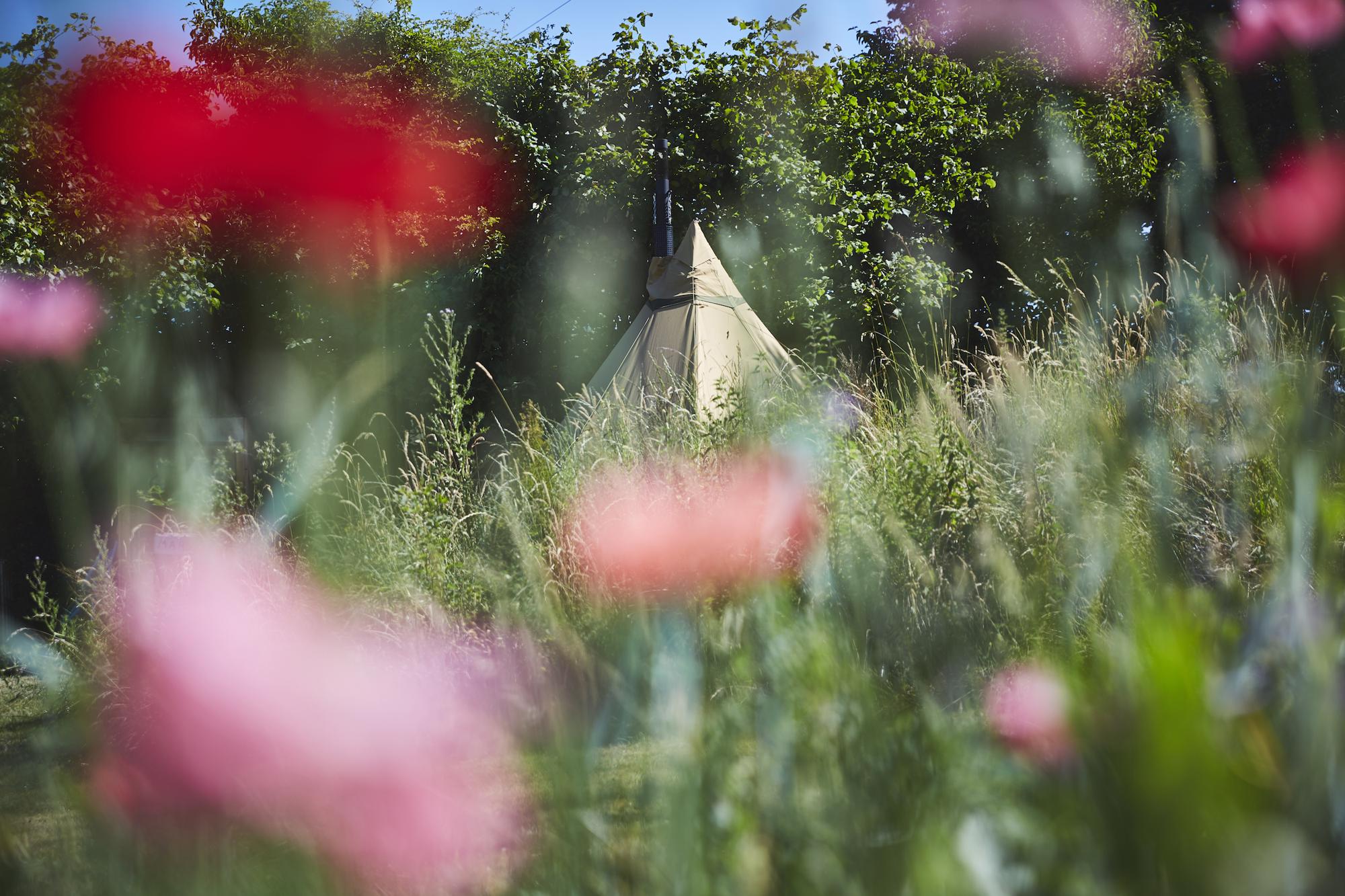 Tipis at Ponty